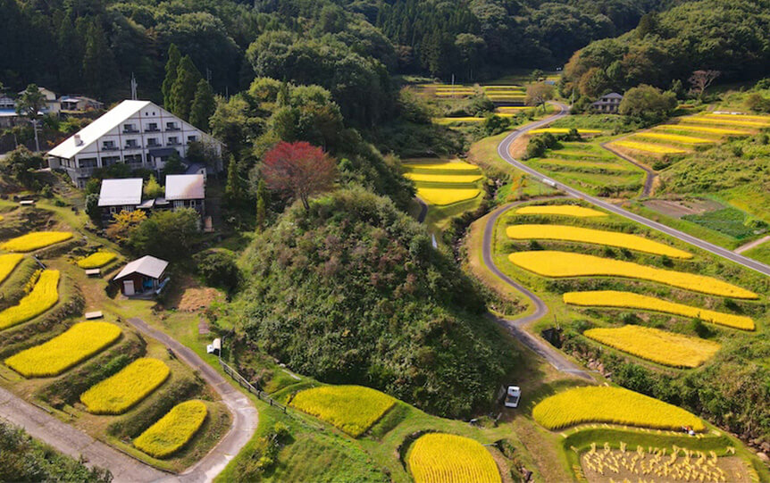 さなざわ㞢テラスイメージ2